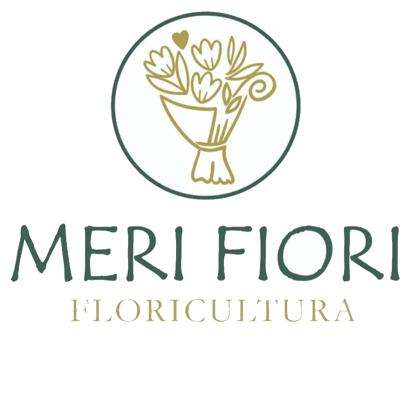 Meri Fiori Floricultura